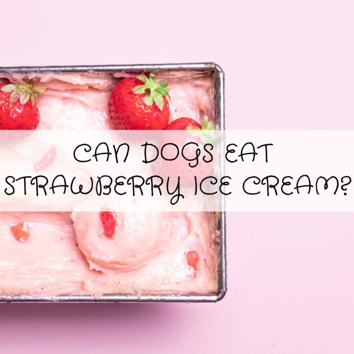 A rectangular tin of strawberry ice cream with whole strawberries sits against a pink background, whilst overlaid text poses the question: Can Dogs Eat Strawberry Ice Cream?.