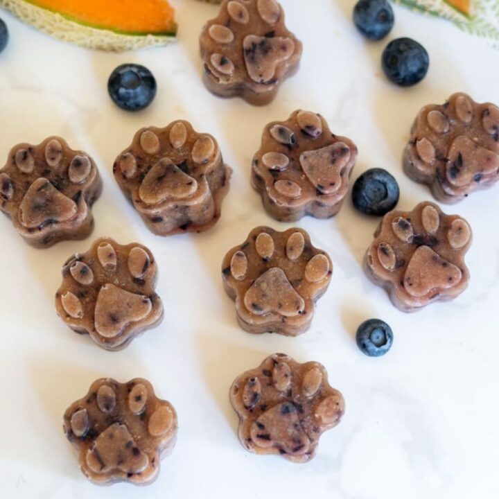 Frozen dog treats shaped like paw prints, scattered on a white surface with fresh blueberries and cantaloupe slices nearby.