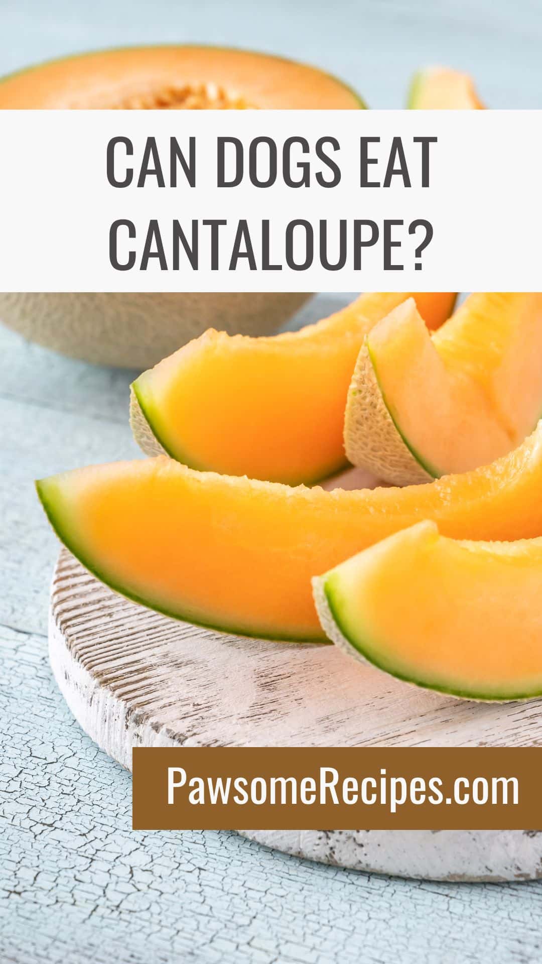 Sliced cantaloupe on a round wooden board with the question, "Can dogs eat cantaloupe?" and a website link to PawsomeRecipes.co.uk.