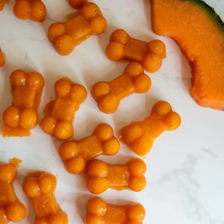 Small, orange, bone-shaped treats are arranged on a white surface next to a slice of melon, perfectly capturing the refreshing appeal of Cantaloupe Pumpkin Frozen Dog Treats.
