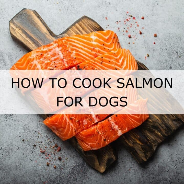 Two raw salmon fillets on a wooden board, sprinkled with pepper, with the text “How to Cook Salmon for Dogs” across the centre.