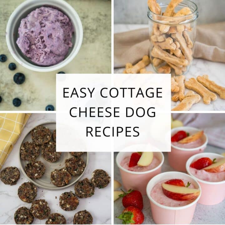 A collage of four cottage cheese dog treats: purple mousse, bone-shaped biscuits, round bites, and pink cups with fruit, with the text “Easy Cottage Cheese Dog Recipes” in the centre.