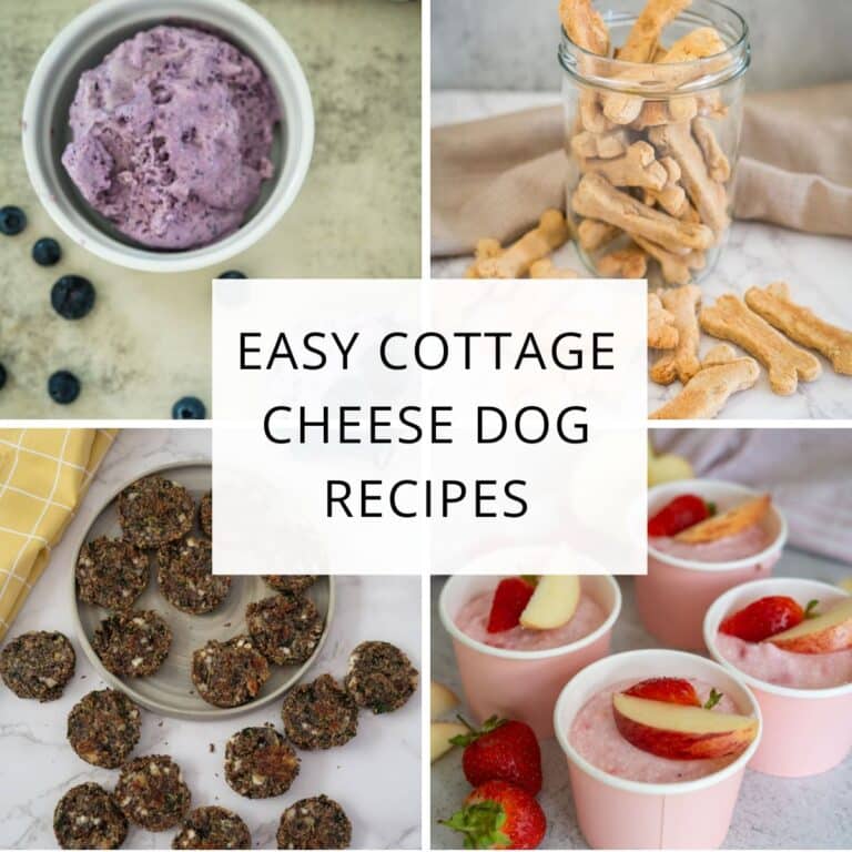 A collage of four cottage cheese dog treats: purple mousse, bone-shaped biscuits, round bites, and pink cups with fruit, with the text “Easy Cottage Cheese Dog Recipes” in the centre.