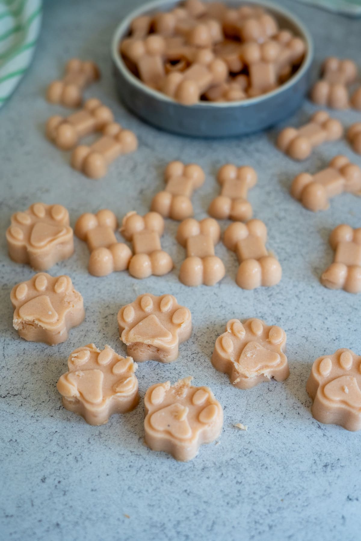 Small, light brown dog treats shaped like paws and bones are arranged on a grey surface, with more salmon bone broth gummies in a round dish in the background.