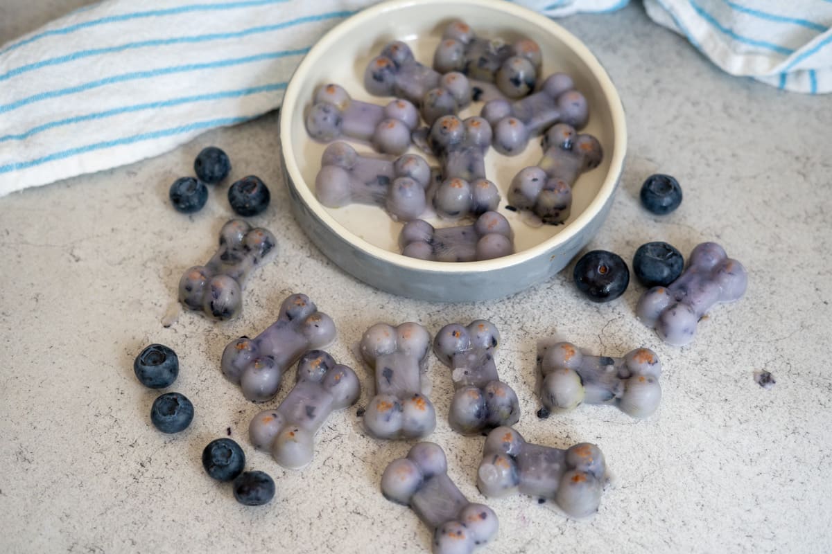 Bone-shaped frozen treats with blueberries are arranged around a bowl, with fresh blueberries scattered on a grey surface and a striped cloth in the background.