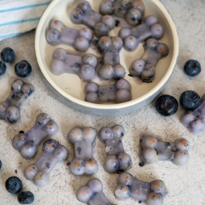 A bowl and surface with bone-shaped frozen treats containing blueberries, surrounded by loose blueberries, on a light-coloured background.