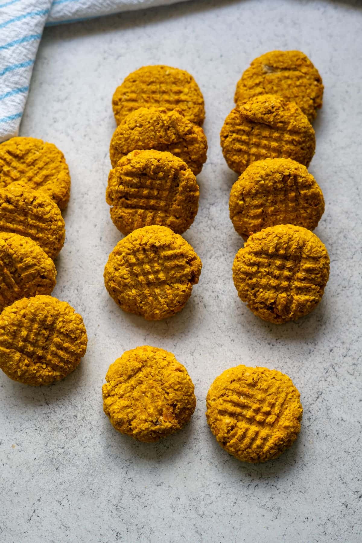 Rows of round, golden-brown salmon pumpkin dog biscuits with criss-cross fork marks on top are arranged on a light grey surface.