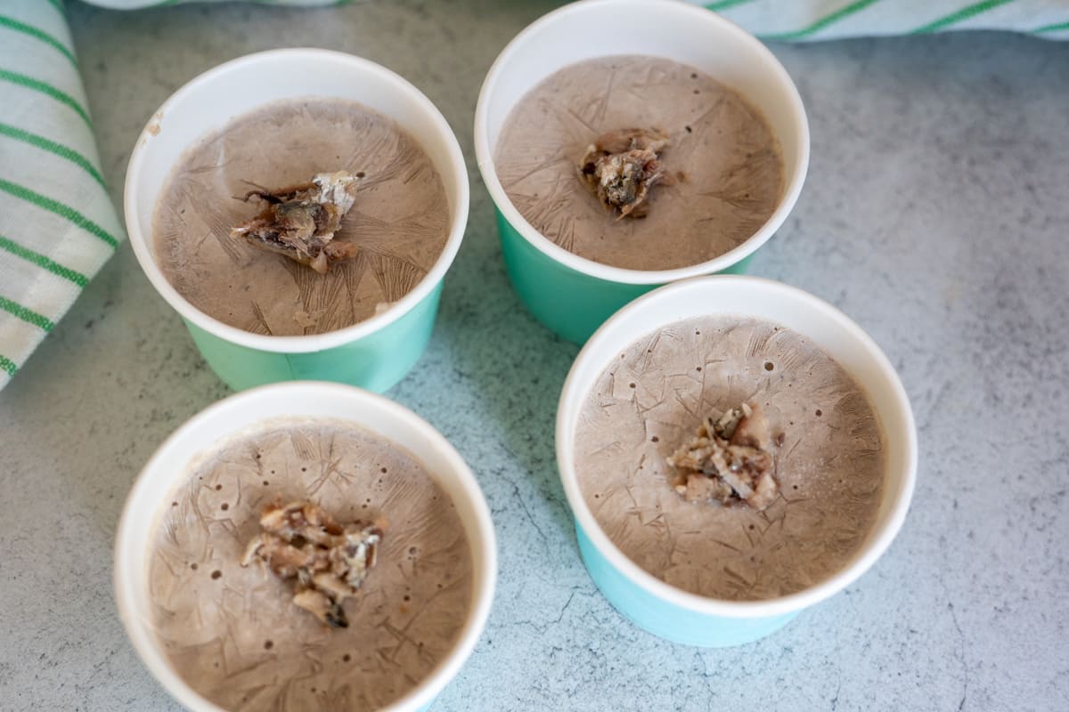 Four paper cups filled with sardine ice cream, each topped with a small clump of nuts or dried fruit, are placed on a light grey surface.