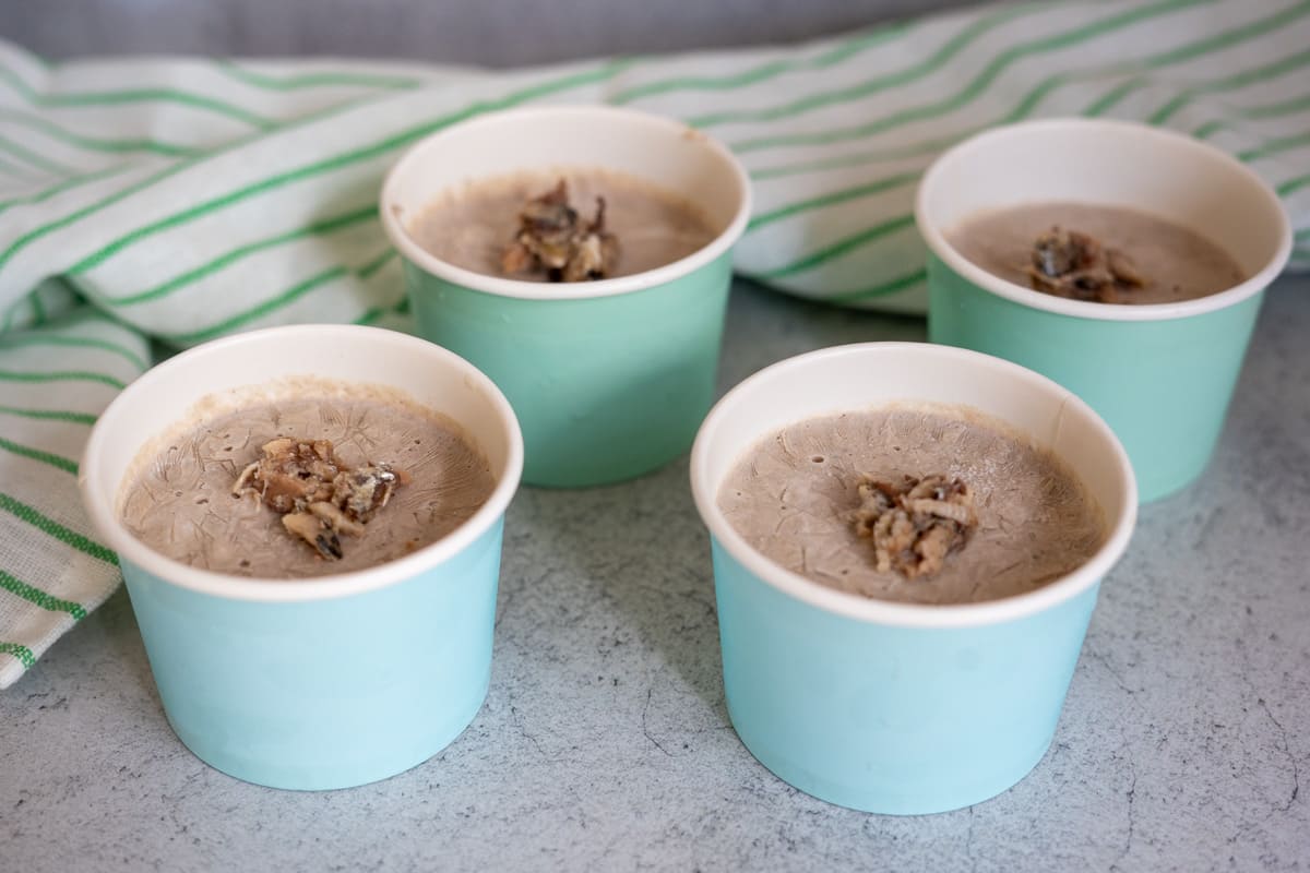 Four light blue paper cups filled with light brown sardine ice cream, each topped with a small cluster of nuts, placed on a grey surface with a green-striped cloth in the background.