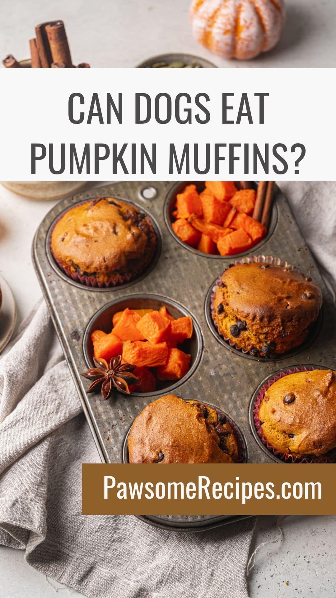 A muffin tray with pumpkin muffins and cubed pumpkin sits on a linen cloth, with cinnamon sticks and a small pumpkin in the background. Text asks, “Can dogs eat pumpkin muffins?”.