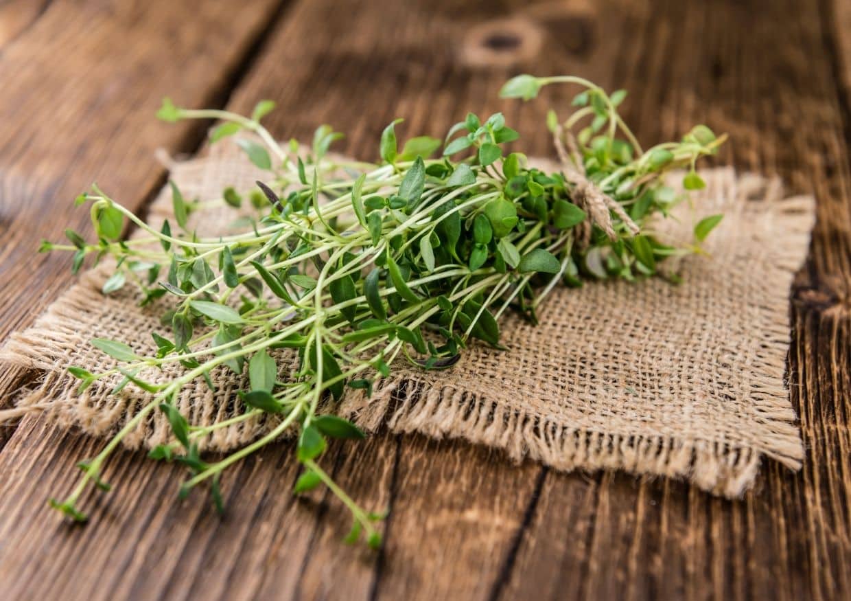A bundle of fresh thyme is placed on a piece of hessian cloth atop a rustic wooden surface, perfect for those wondering, “can dogs eat thyme” and seeking natural kitchen inspiration.