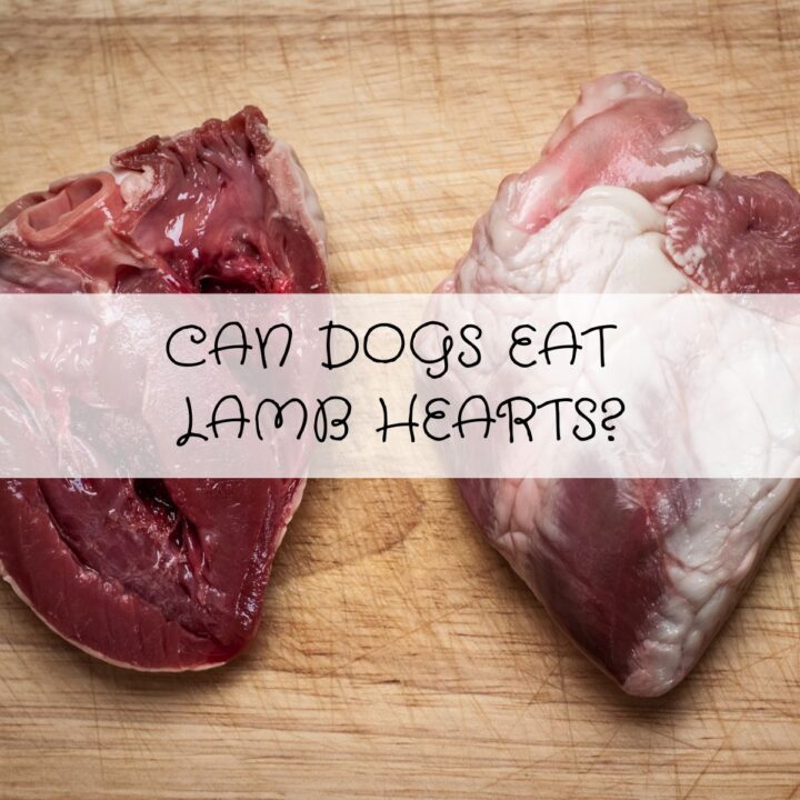 Two raw lamb hearts on a wooden chopping board, with the text “Can dogs eat lamb hearts?” overlaid in the centre.
