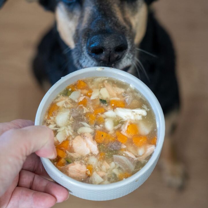 A person holds a bowl of chunky homemade dog food with chicken, carrots, and stock in front of a black and tan dog.