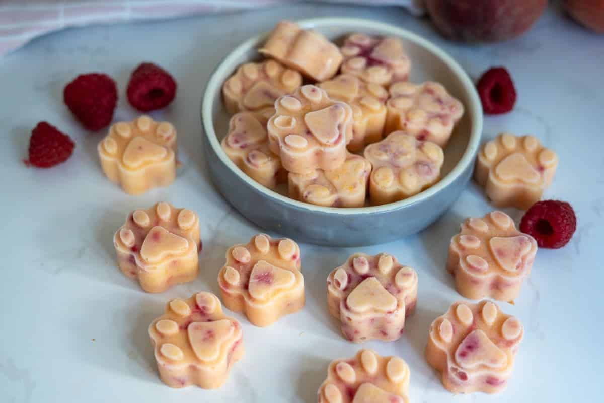 Paw-shaped frozen treats with visible fruit pieces are arranged on a white surface with raspberries and a bowl.