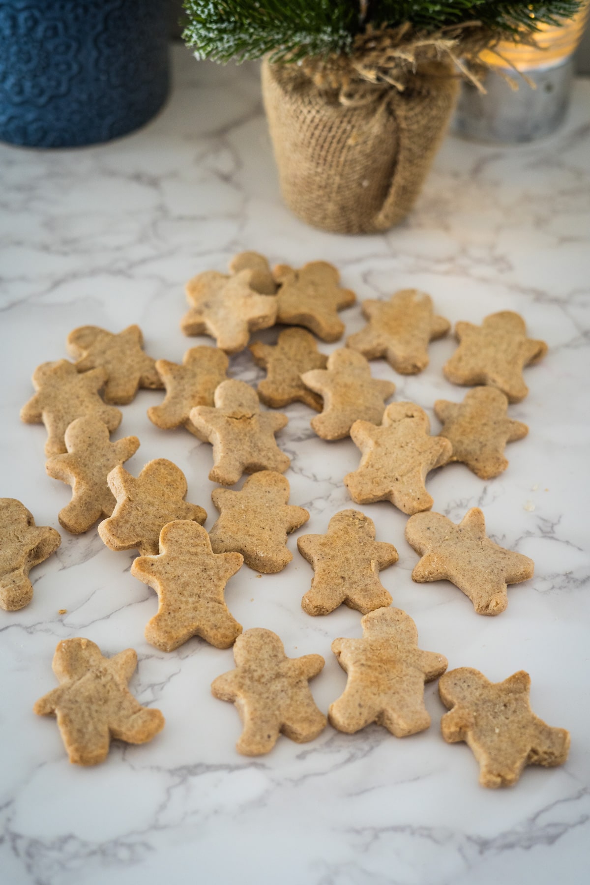 Several small, undecorated gingerbread biscuits in the shape of people are spread out on a marble surface next to a small potted plant.
