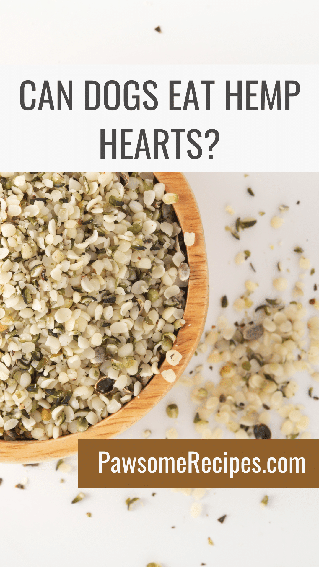 A wooden bowl filled with hemp hearts sits on a white surface alongside scattered seeds, with text asking, “Can dogs eat hemp hearts?” and a website link for more information.