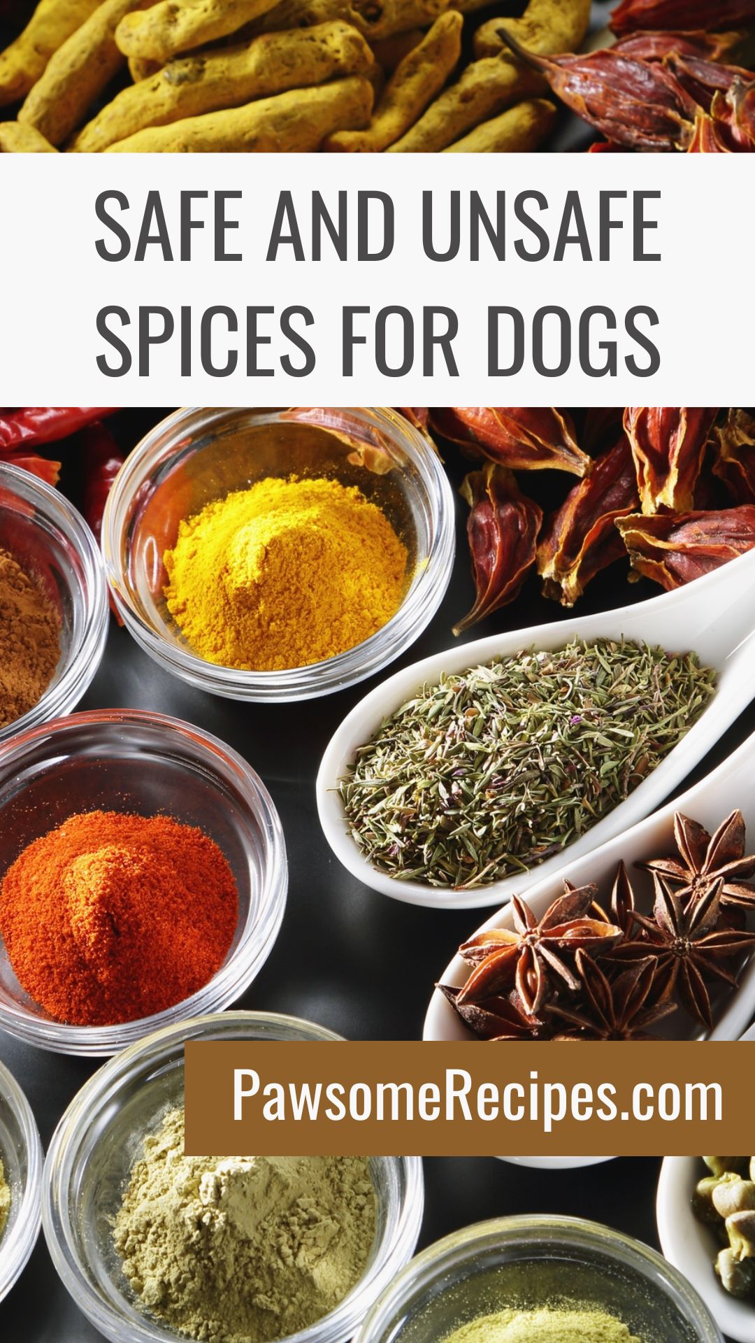 Various spices in small bowls and on a spoon are displayed with the text “Safe and Unsafe Spices for Dogs” and a website link for PawsomeRecipes.com.