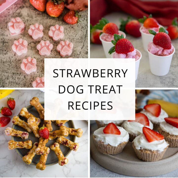 Four photos of homemade strawberry dog treats, including paw-shaped gummies, whipped cups, bone-shaped biscuits, and tarts with cream and strawberry slices. Text overlay reads: “Strawberry Dog Treat Recipes”.