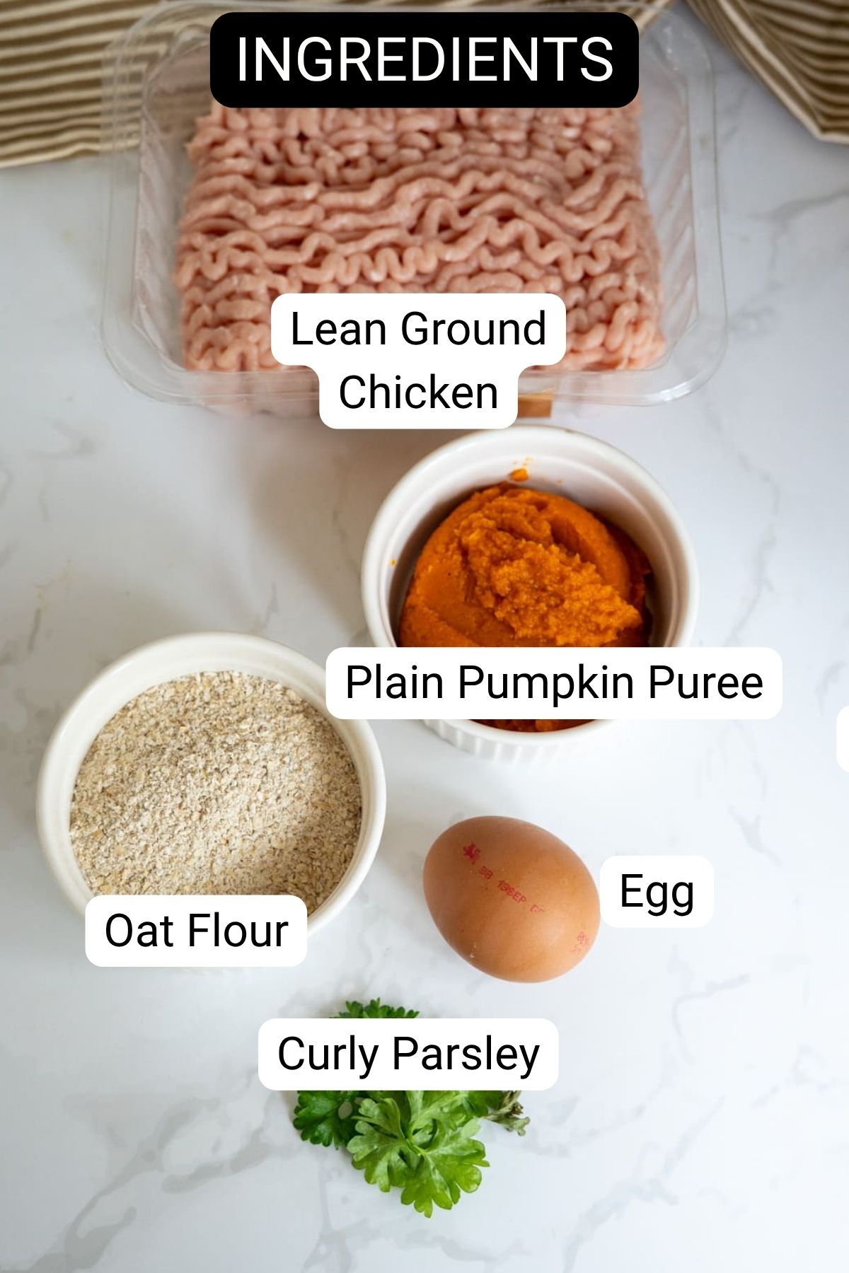 A tub of minced chicken, a bowl of pumpkin purée, a bowl of oat flour, a brown egg, and a sprig of curly parsley are displayed on a white surface.