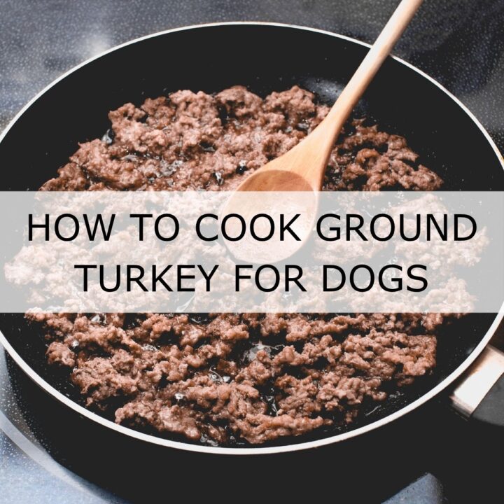 Cooked minced turkey in a frying pan with a wooden spoon, viewed from above. Text overlay reads: “How to cook minced turkey for dogs.”.