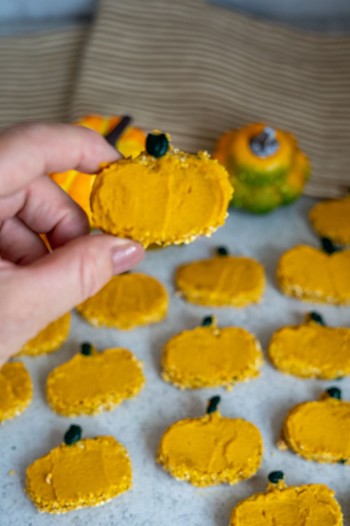 A hand holds a pumpkin-shaped orange biscuit, reminiscent of goat milk pumpkin dog treats, with several similar biscuits and decorative pumpkins in the background.