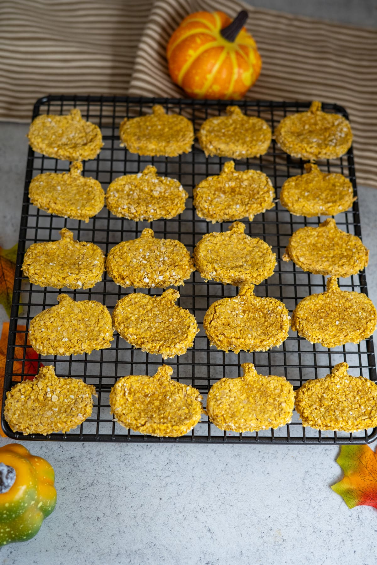 Goat milk pumpkin dog biscuits, shaped like pumpkins, cooling on a black wire rack, with decorative pumpkins and autumn leaves in the background.