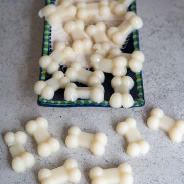 White, bone-shaped treats are arranged on a rectangular plate with a blue and green border, with several more scattered on a grey surface nearby.