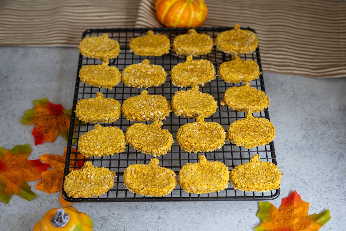 Pumpkin-shaped biscuits cool on a black wire rack, with decorative autumn leaves, small pumpkins, and goat’s milk dog treats nearby on a light grey surface.
