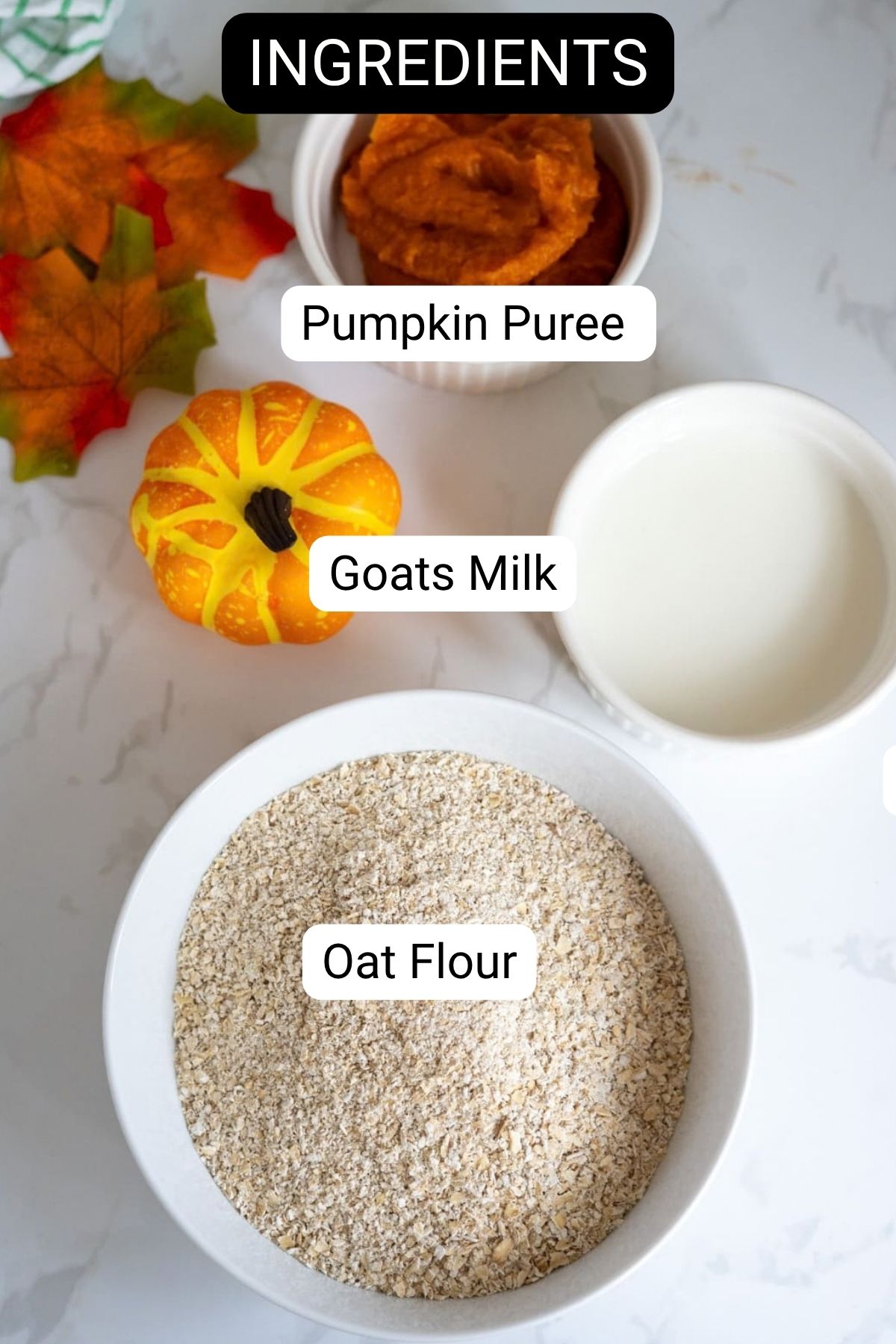 A bowl of oat flour, a small pumpkin, a dish of pumpkin purée, and a cup of goat’s milk arranged on a white surface with a decorative autumn leaf—perfect ingredients for making wholesome goat’s milk dog biscuits.