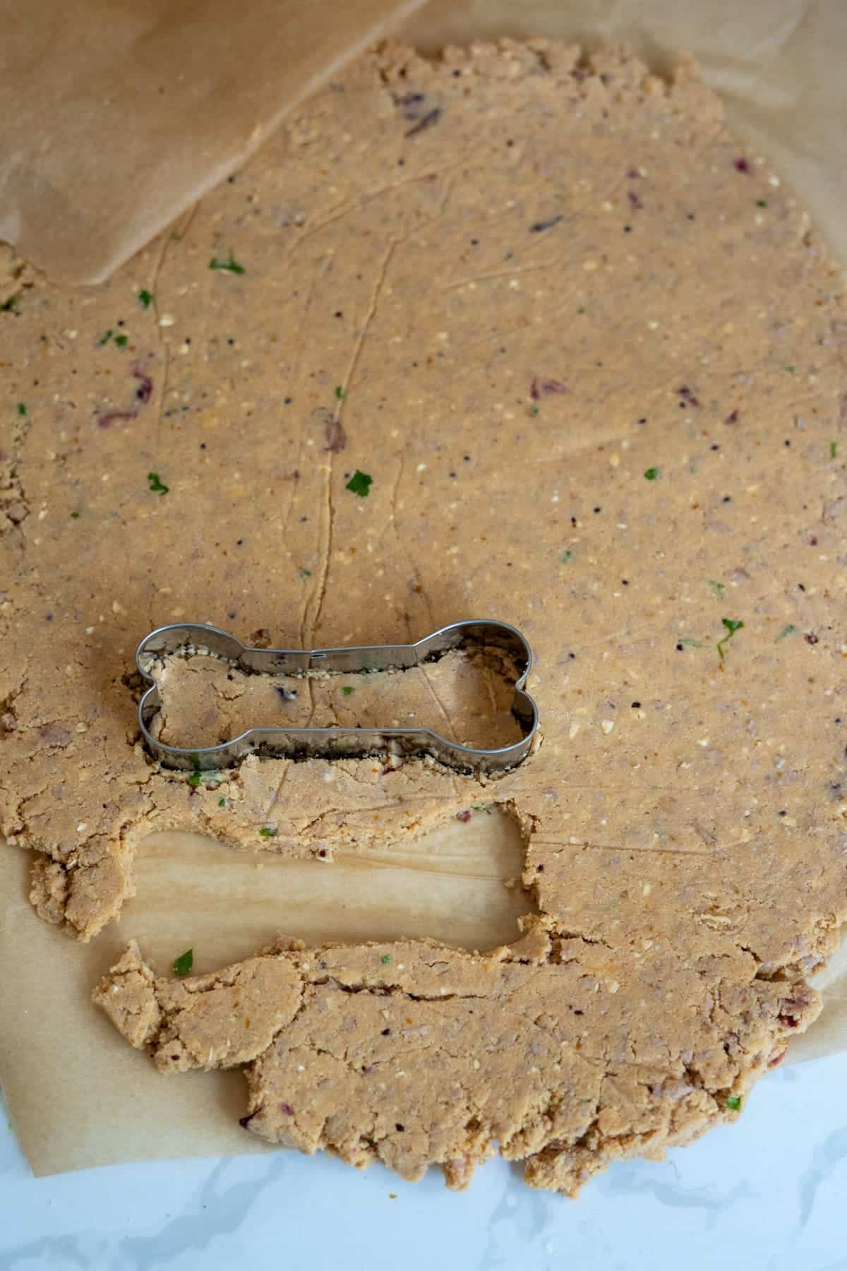 Bone-shaped biscuit cutter on rolled-out Turkey Pumpkin Cranberry Dog Treats dough with visible herbs and specks, placed on baking parchment.