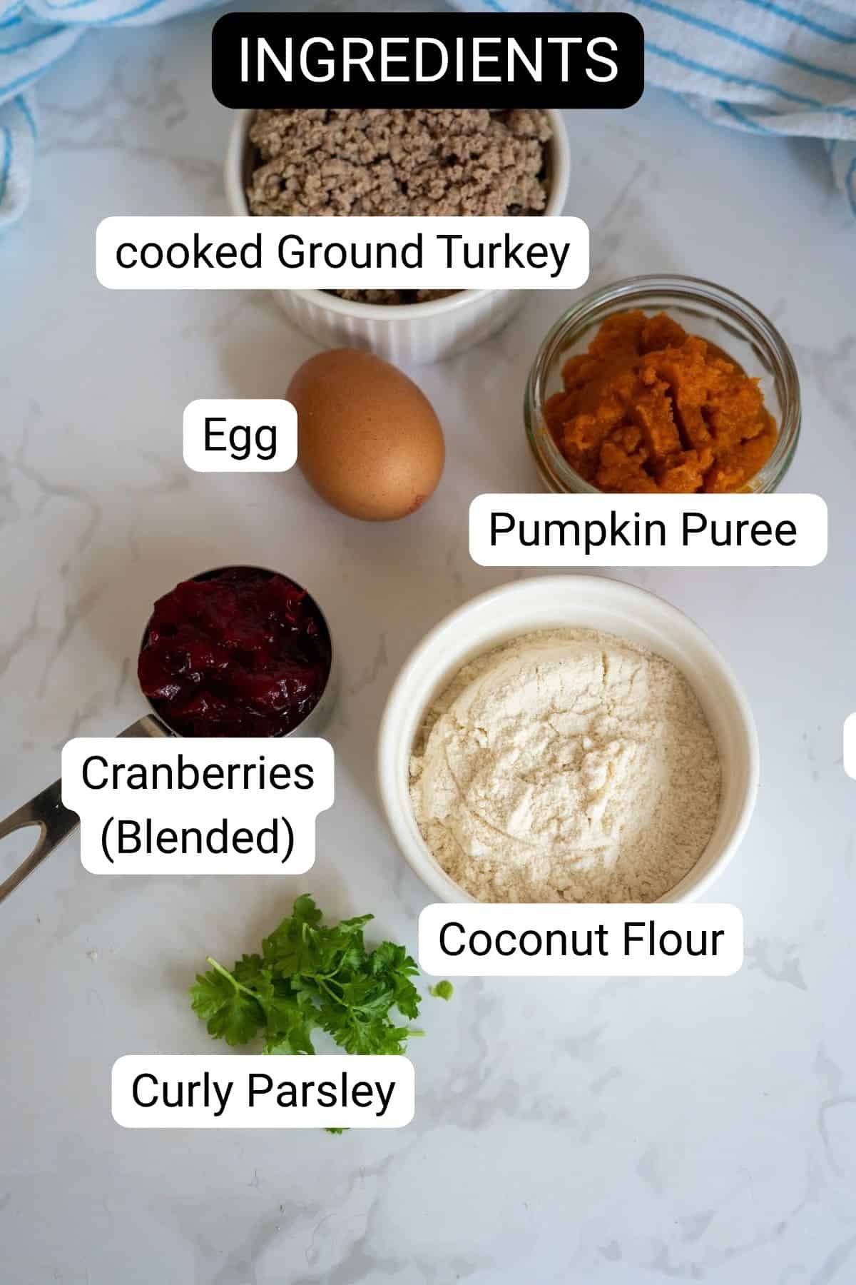 Top-down view of labelled ingredients for Turkey Pumpkin Cranberry Dog Treats: cooked minced turkey, egg, pumpkin purée, blended cranberries, coconut flour, and curly parsley.