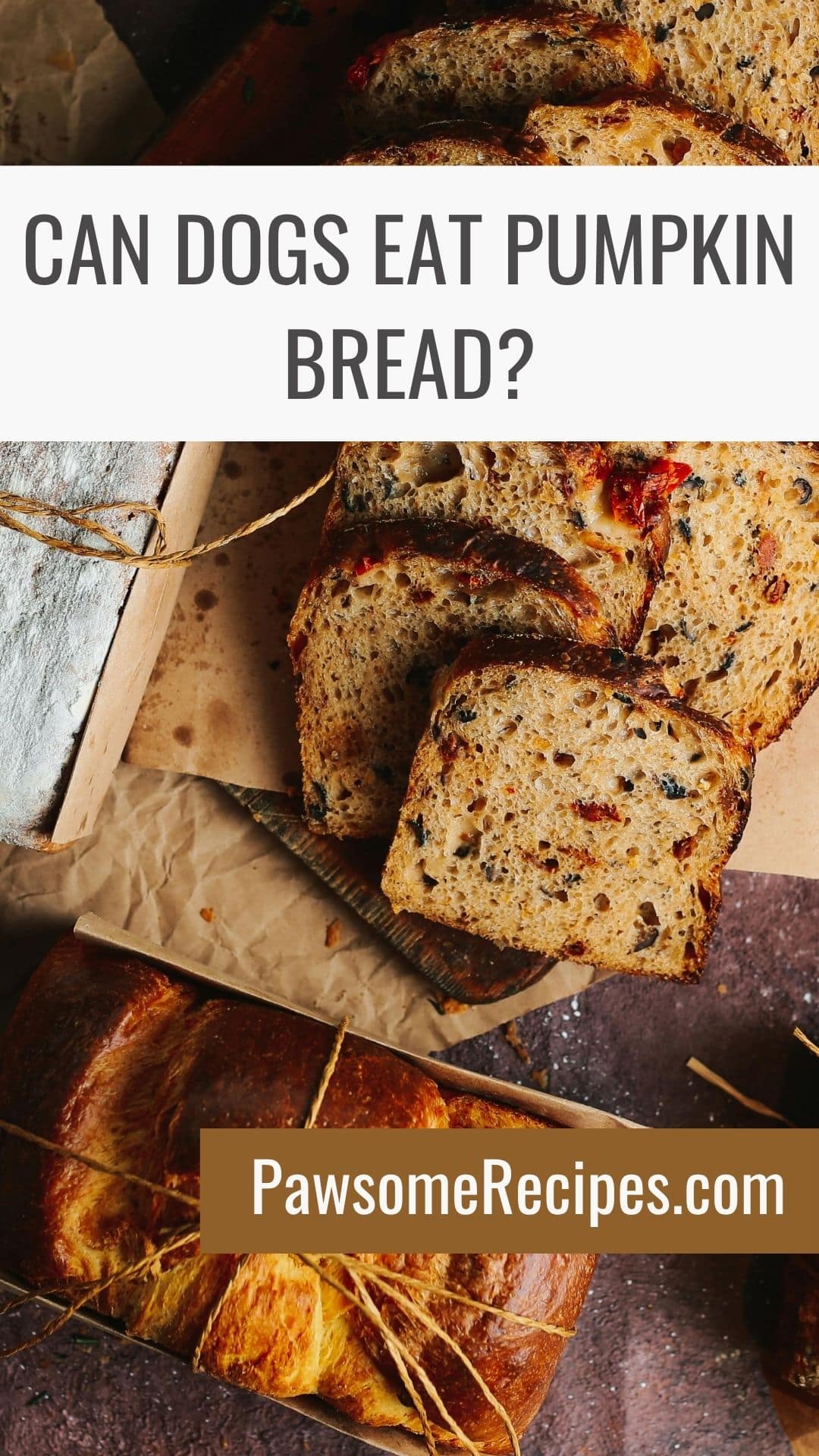 Sliced pumpkin bread on a chopping board with text asking, “Can dogs eat pumpkin bread?” and a website link at the bottom.