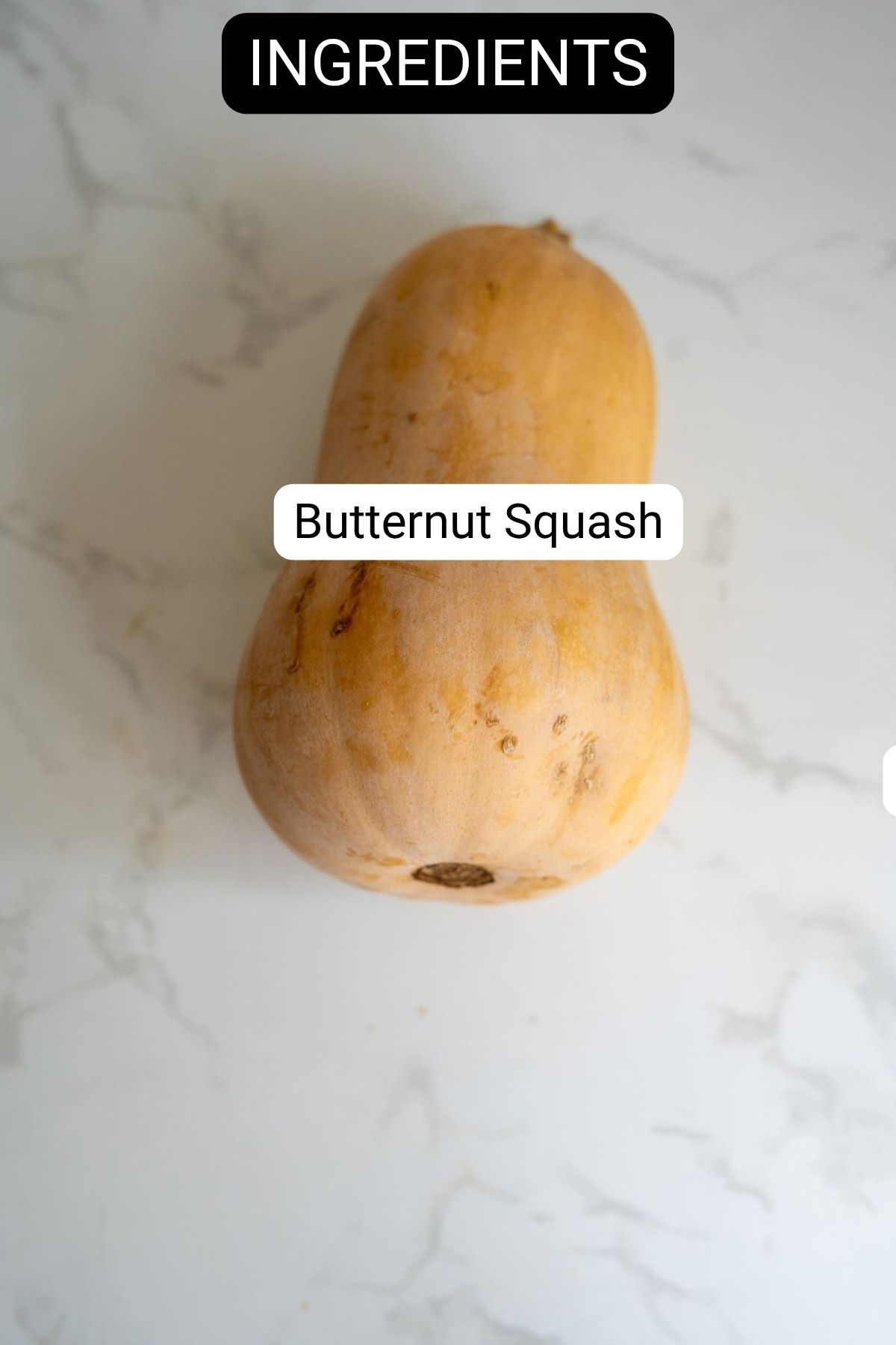 A butternut squash labelled “INGREDIENTS” and “Butternut Squash” on a white marble surface, used to make butternut squash crisps for dogs.