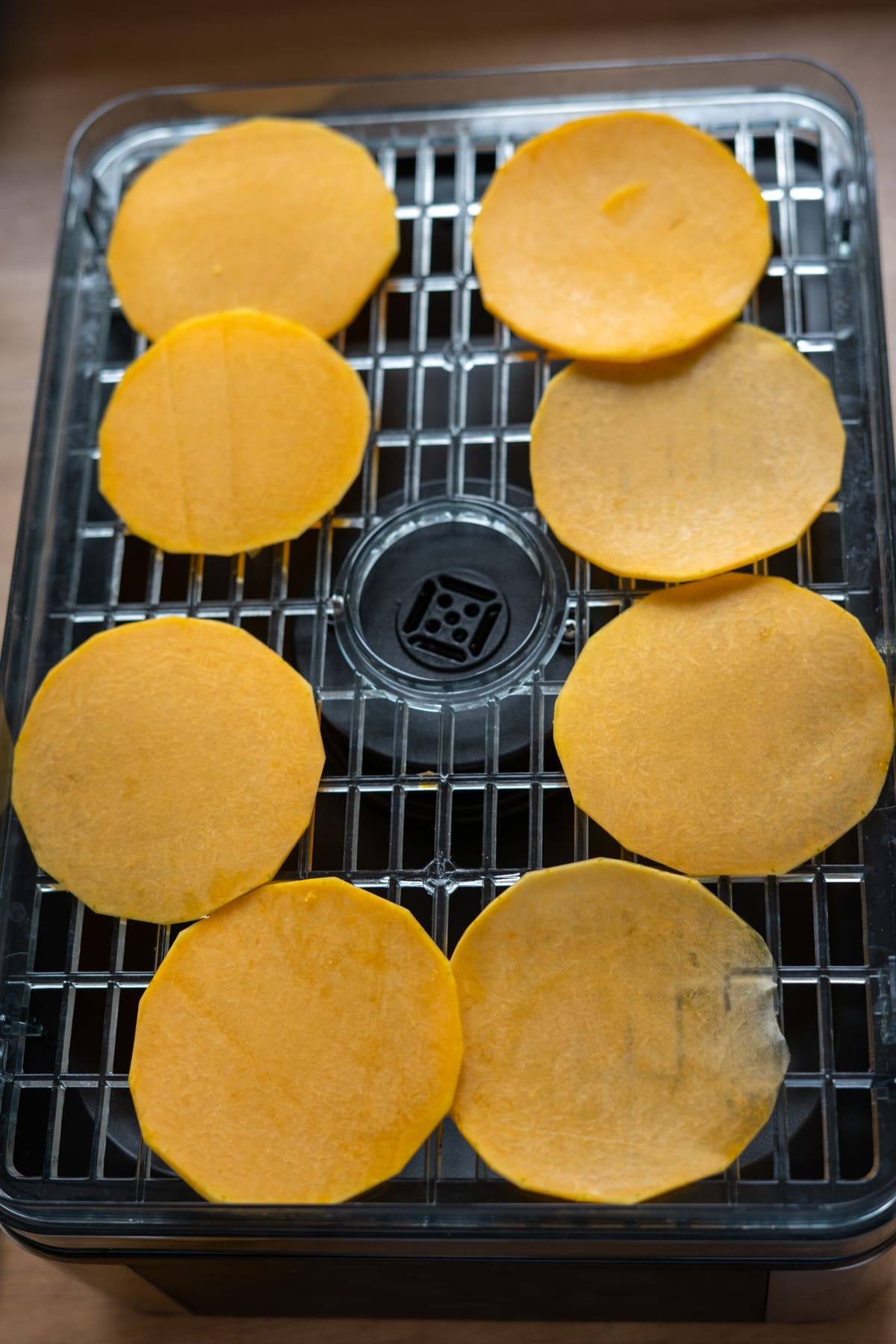 Eight round slices of butternut squash arranged on a food dehydrator tray to make crisps for dogs.