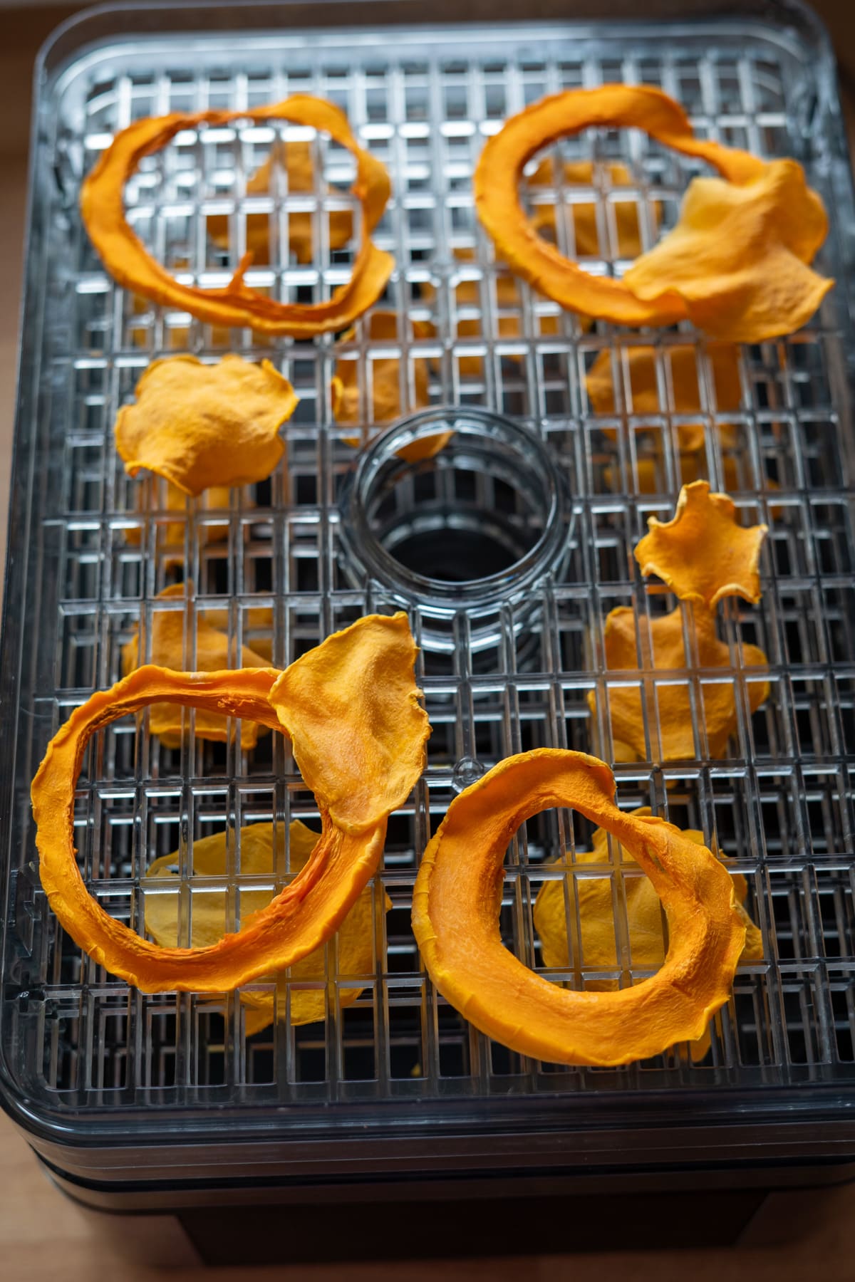 Sliced butternut squash crisps for dogs dehydrating on a plastic tray.