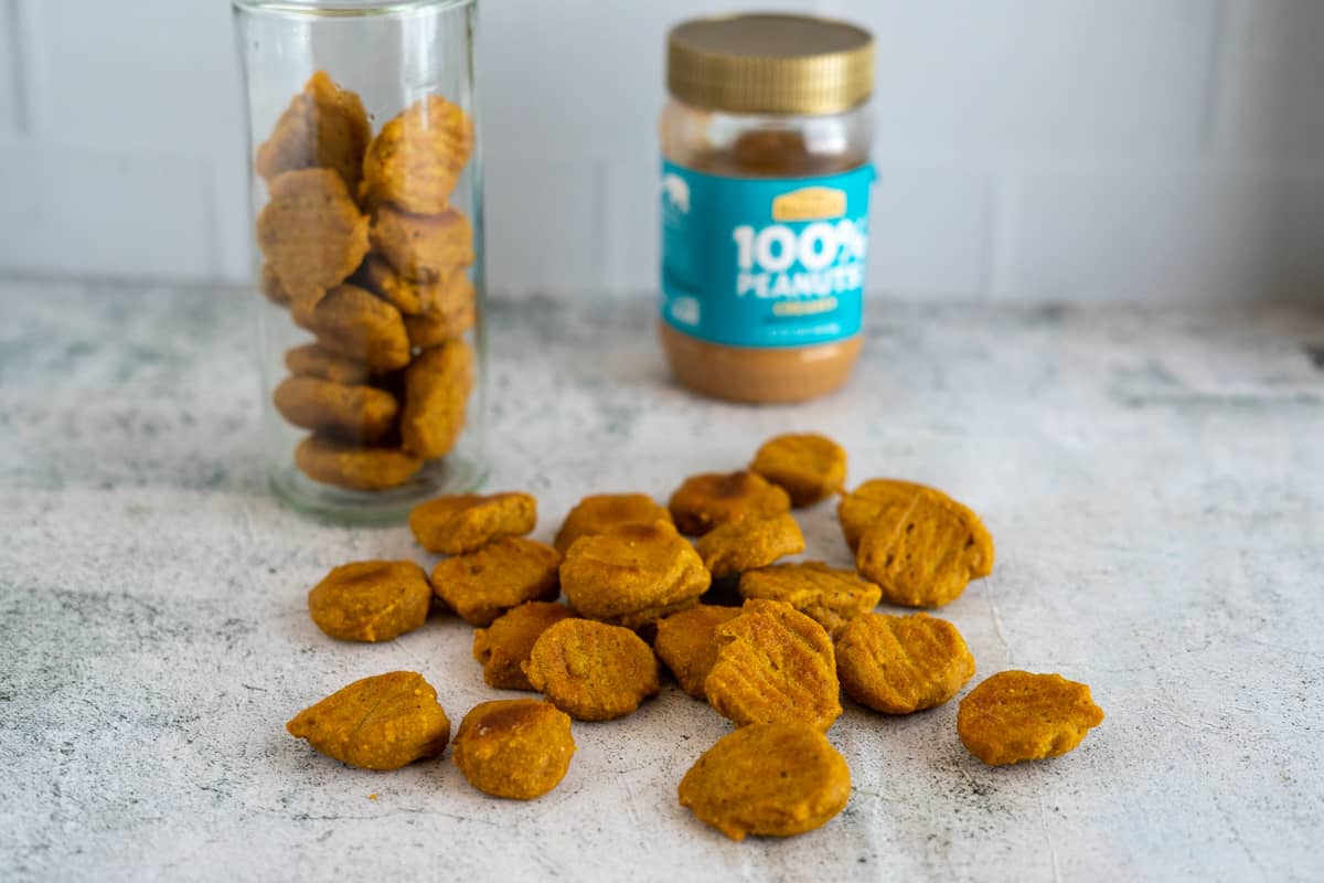 A pile of small, golden-brown peanut butter biscuits, with a glass jar of biscuits and a jar of peanut butter in the background that might make a pet owner wonder if dogs can eat peanut butter.