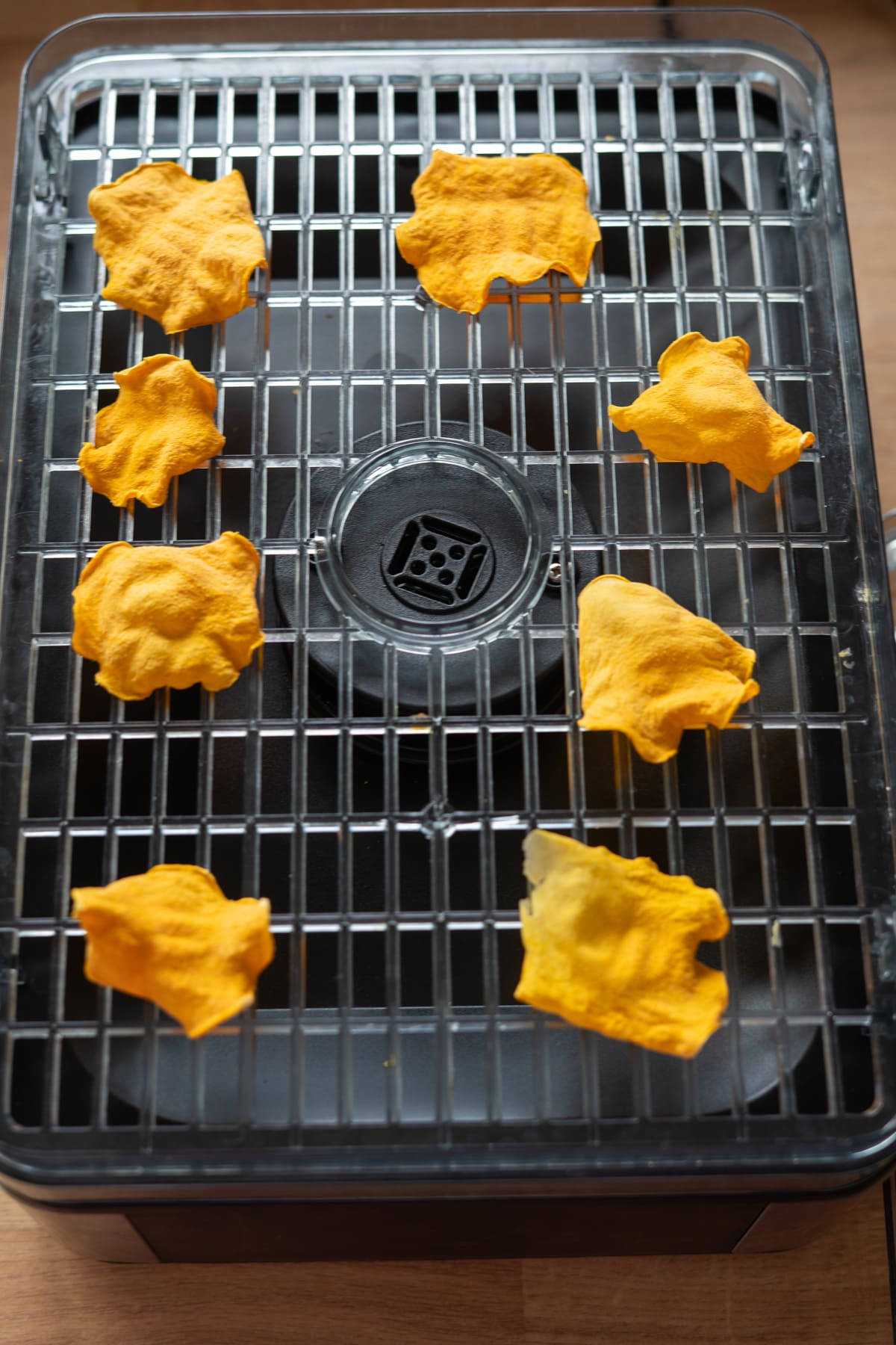 Eight thin, yellow, dried butternut squash crisps for dogs arranged on the metal rack of a food dehydrator.